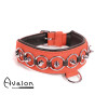 Avalon - WORSHIP - Collar med spisse nagler, ringer og D-ring - Rød og sort Avalon - WORSHIP - Collar med spisse nagler, ringer og D-ring - Rød og sort