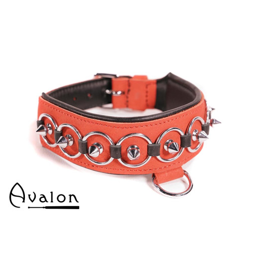 Avalon - WORSHIP - Collar med spisse nagler, ringer og D-ring - Rød og sort Avalon - WORSHIP - Collar med spisse nagler, ringer og D-ring - Rød og sort