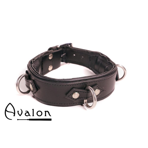 Avalon - VICTORY - Enkelt Collar med D-ringer og polstring - Sort og Rød