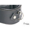 Avalon - GUARDED - Collar med god Polstring, Svart