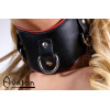 Avalon - CONQUER - Collar med god polstring, Svart og Rødt Avalon - CONQUER - Collar med god polstring, Svart og Rødt