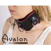 Avalon - CONQUER - Collar med god polstring, Svart og Rødt Avalon - CONQUER - Collar med god polstring, Svart og Rødt