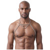 Svenjoyment - Harness i metall