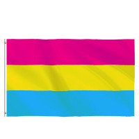 Panfil Pride Flagg 90cm x 150cm