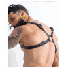 H4rness C4M - Party Harness - Sort H4rness C4M - Party Harness - Sort
