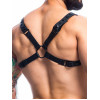 H4rness C4M - Party Harness - Sort H4rness C4M - Party Harness - Sort