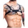 H4rness C4M - Party Harness - Sort H4rness C4M - Party Harness - Sort