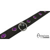 Avalon - DEVOTION - Collar med lilla runde Stener og O-ring